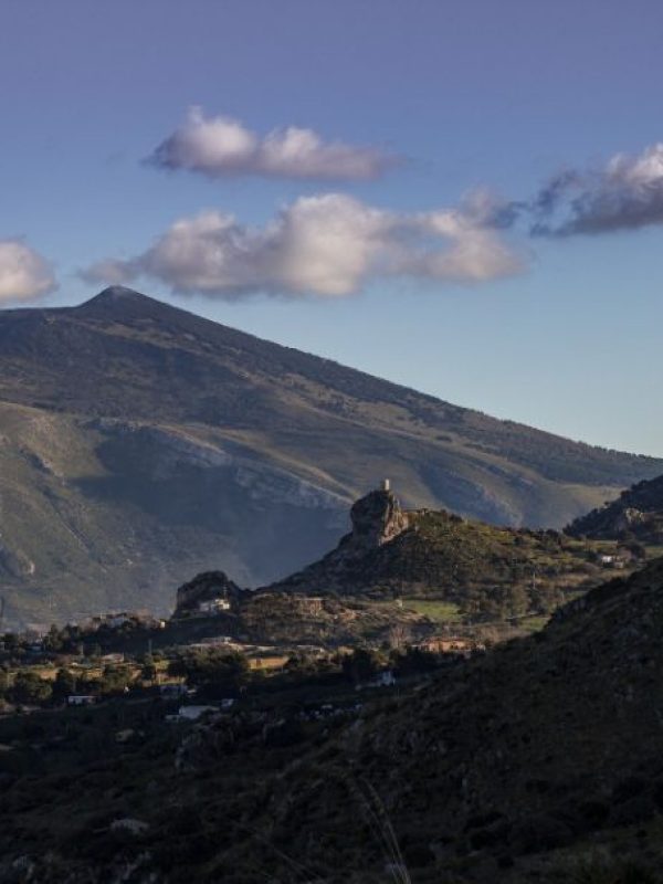 trapani